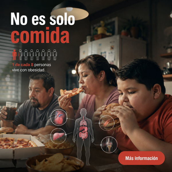 Recetas para niños